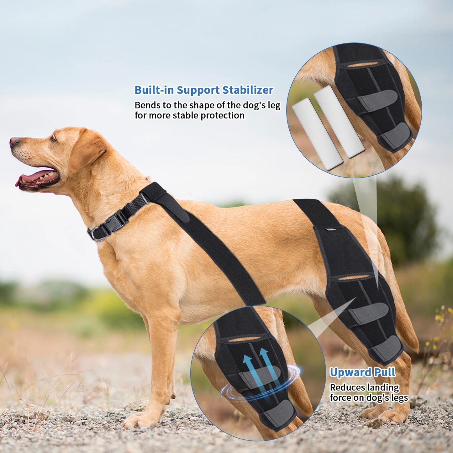 Adjustable Dog Knee Brace Straps Protection Pads, Leg Joint Wrap Supports, Pet Legs Support, Dog Accessories